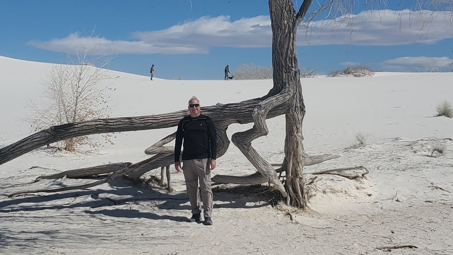 White Sands Playa and Dune Life Trails 